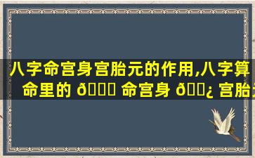 八字命宫身宫胎元的作用,八字算命里的 🐕 命宫身 🌿 宫胎元是什么意思